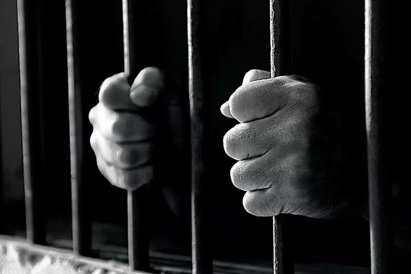 Delhi man rapes dog, arrested