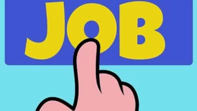 India job market bounces back to pre-festive levels