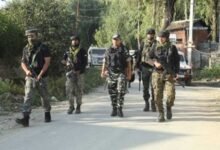 3 LeT terrorists killed in Kashmir's Shopian