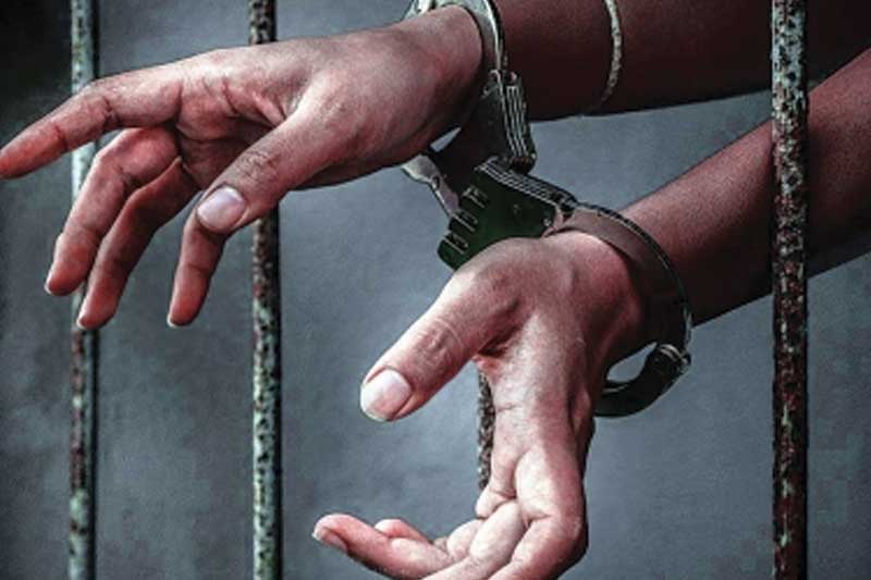 14 held for cow slaughter in UP's Lakhimpur Kheri
