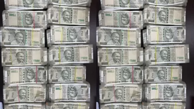Gujarat polls: Massive seizure worth Rs 801.85 crore