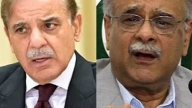 Shehbaz approves Najam Sethi's appointment as Pak cricket board chief