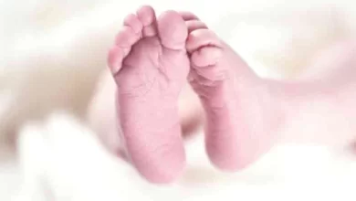 Decomposed body of new born found in Lucknow