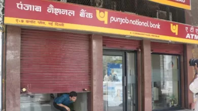 One person alone cannot do this, there are others involved in scam: Suspended PNB official