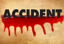 Gujarat: 7 killed in road mishaps in 12 hrs