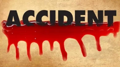 Six of marriage party killed in Andhra road accident