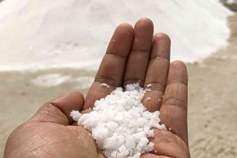 TN to increase salt production