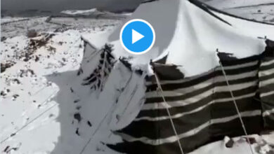 Saudi Arabia: Snow blankets mountains of Tabuk