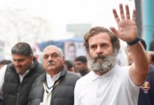 After second phase in Haryana, Bharat Jodo Yatra moves to Punjab