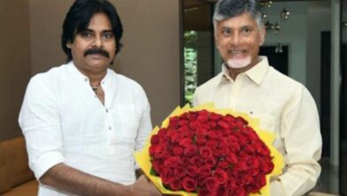 Chandrababu, Pawan Kalyan to unitedly fight against ban on meetings