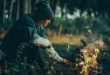 Cold wave conditions likely in northern, central states after Jan 14: IMD