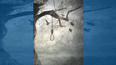 Bodies of two class XI students found hanging from tree in Faridabad, probe initiated