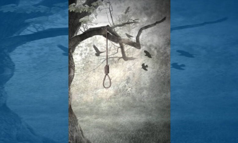 Bodies of two class XI students found hanging from tree in Faridabad, probe initiated