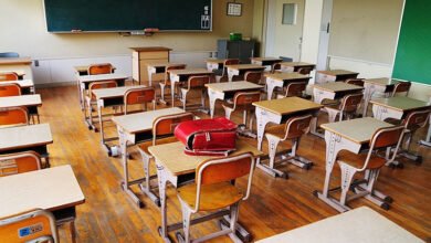 Telangana govt announces Sankranti holidays for schools