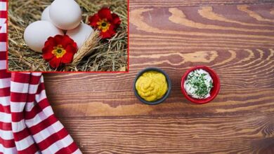 Kerala bans production of mayonnaise made from raw eggs