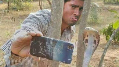 Selfie with snake claims Andhra youth's life