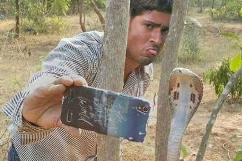 Selfie with snake claims Andhra youth's life
