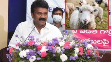 Animal Husbandry Minister Archives - The Munsif Daily | Latest News India | World News | National and International Headlines Animal Husbandry Minister Archives - The Munsif Daily | Latest News India | World News | National and International Headlines