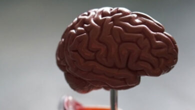 Alzheimer's becoming disease of the young?