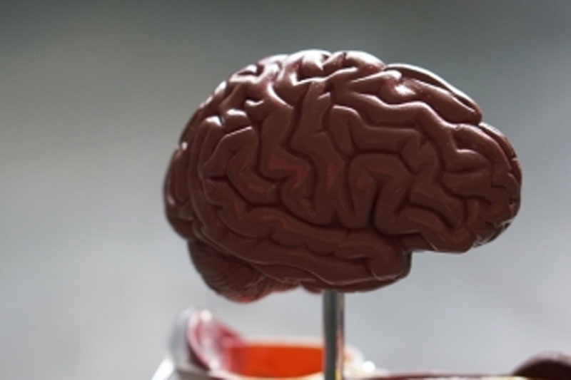 Alzheimer's becoming disease of the young?