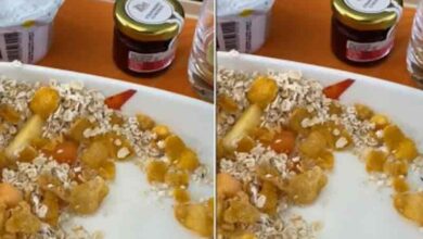 Air India business class passenger shares video of insect in flight meal