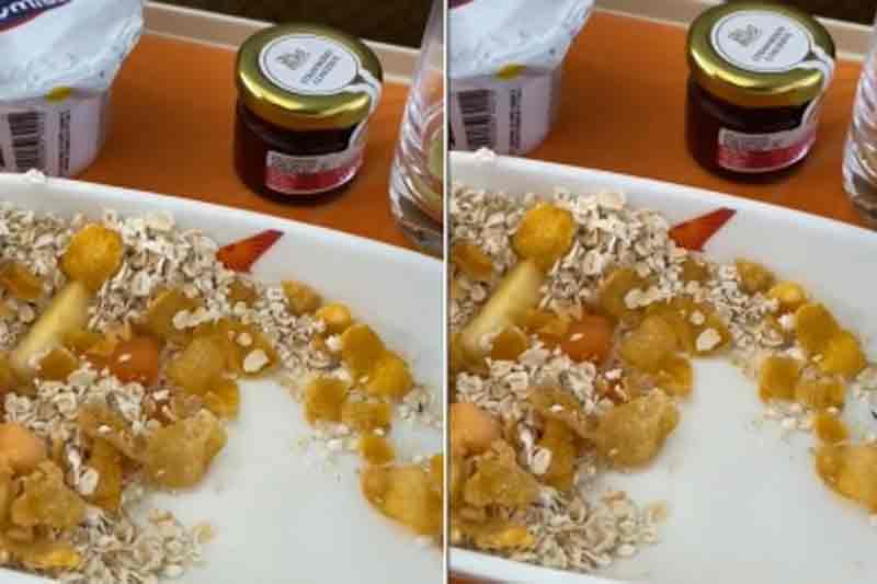Air India business class passenger shares video of insect in flight meal