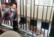 Leopard attacks 3 in Ghaziabad court