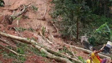 Death toll rises to 54 from landslides on Brazil's coast