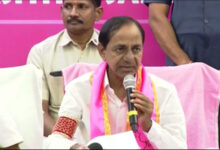 Telangana to introduce insurance scheme for toddy tappers