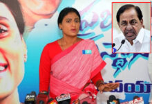 Sharmila apologises to transgenders for insult