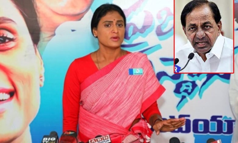 Sharmila apologises to transgenders for insult