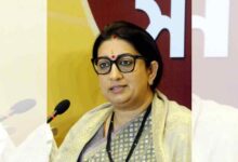 Foreign forces trying to destroy India's democracy: Smriti Irani