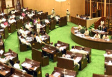 Agriculture, irrigation get lion's share in Telangana Budget
