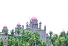 Telangana HC pulls up municipal body over killing of boy by stray dogs