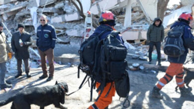 Death toll crosses 30,000 in Turkey, Syria as incredible rescues bring hope