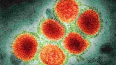 China detects another human case of influenza A H3N8