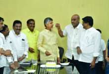 Jolt to Andhra's ruling YSRCP as TDP bags three MLC seats