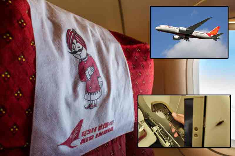 UN diplomat complains of broken seats, cockroaches on US-Delhi Air India flight