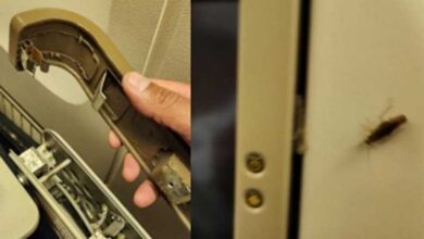 UN diplomat complains of broken seats, cockroaches on US-Delhi Air India flight