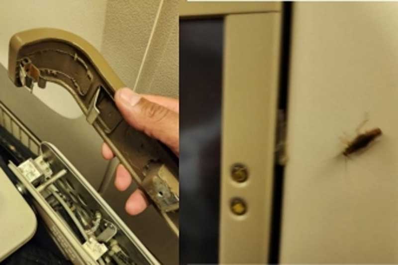 UN diplomat complains of broken seats, cockroaches on US-Delhi Air India flight