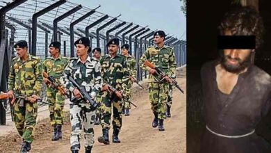 Pak national trying to intrude into India arrested in Punjab's Ferozepur sector