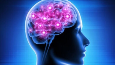 Brain stroke among youngsters in India doubled in last decade: Experts at ASSOCHAM's 'Illness To Wellness' Summit
