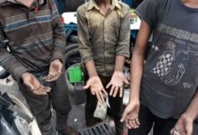 Delhi govt has rescued over 200 child labourers since Jan: BBA to HC