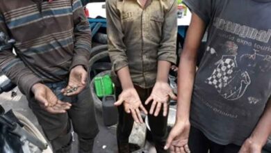 Delhi govt has rescued over 200 child labourers since Jan: BBA to HC