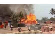 Fire breaks out in Mumbai wood godown, no casualties