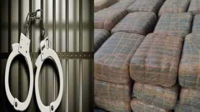 200 kg ganja seized in Hyderabad, 3 held