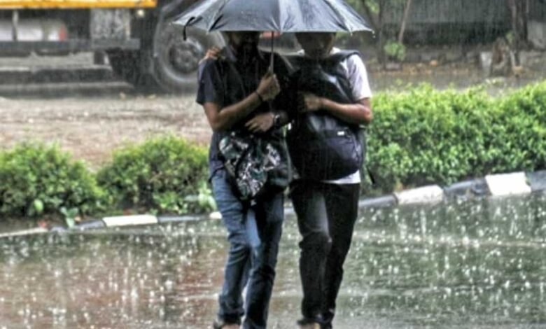 Hailstorm over Delhi, adjoining areas likely today: IMD