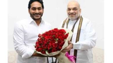 Andhra CM Reddy meets Amit shah, urges release of fund for developmental projects