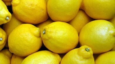 Lemon prices soar to Rs 200 per kg