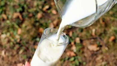 Nearly 35% of milk samples found to be non-conforming to norms